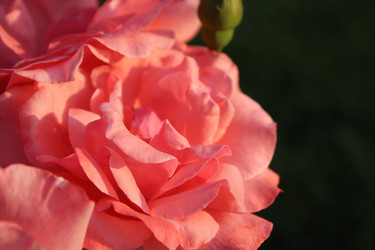 Similar image 21412351