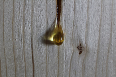 Similar image 21412369