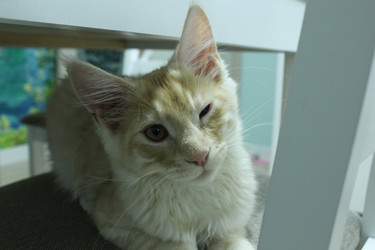 Similar image 21412370