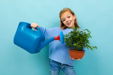 Similar image 21412019