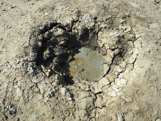 Similar image 21390262