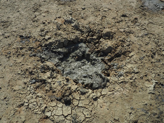 Similar image 21390264