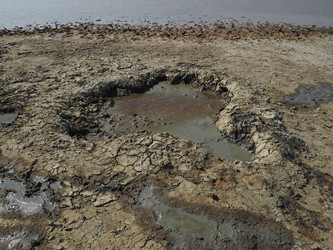 Similar image 21390265