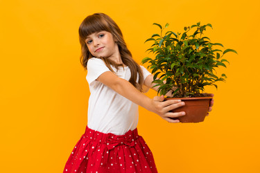 Similar image 21410209