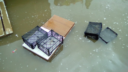 Similar image 21390269