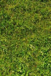 Similar image 21410878