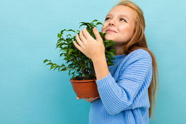 Similar image 21410451