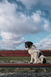 Similar image 21398524