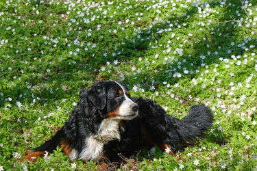 Similar image 21398543