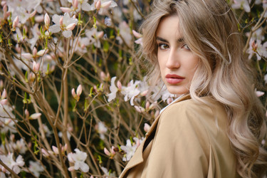 Similar image 21398548