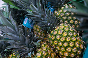 Similar image 21413578