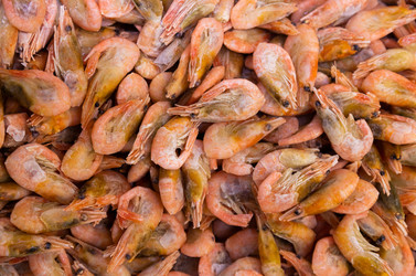 Similar image 21413582