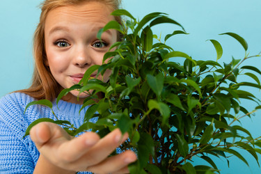 Similar image 21412220