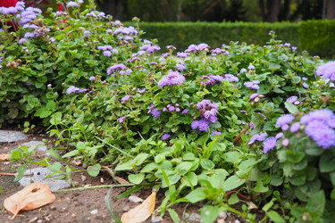 Similar image 21389354