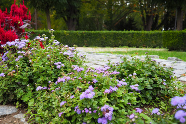 Similar image 21389355