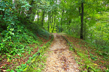 Similar image 21390616