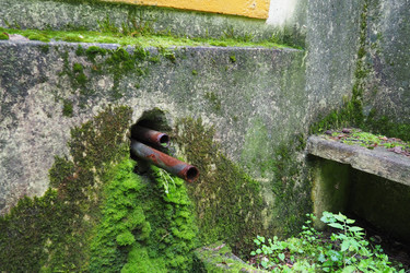 Similar image 21390619