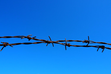 Similar image 21416544