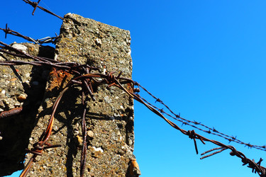 Similar image 21416553