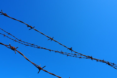 Similar image 21416555