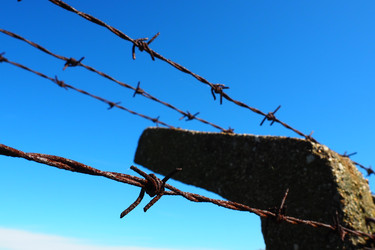 Similar image 21416557