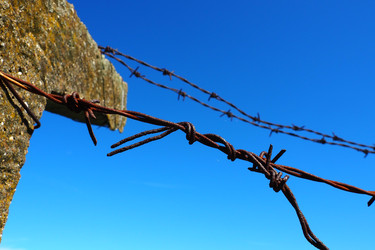 Similar image 21417022