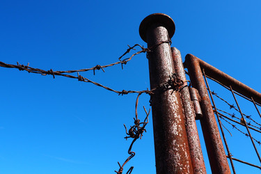 Similar image 21417025