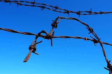 Similar image 21417027