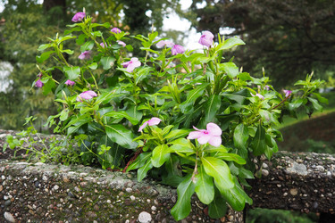 Similar image 21390632