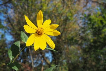 Similar image 21416367