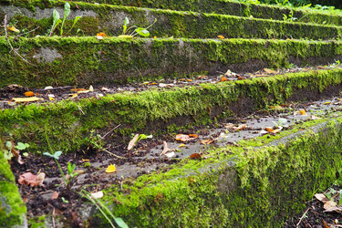 Similar image 21416417