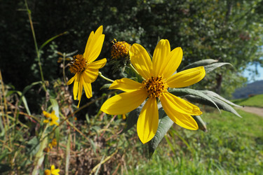 Similar image 21416559