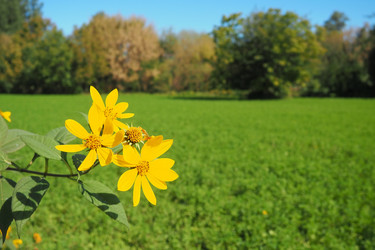 Similar image 21416560