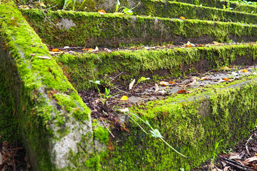 Similar image 21416562