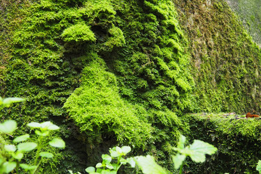 Similar image 21416564