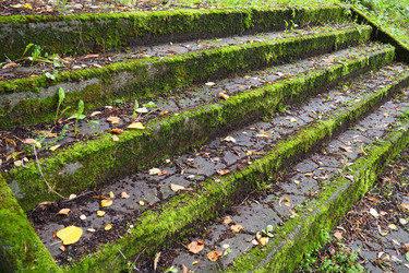 Similar image 21416566