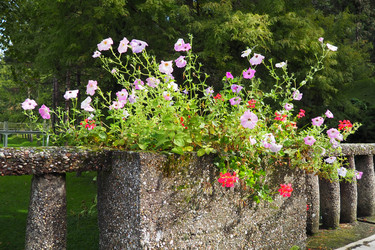 Similar image 21416572