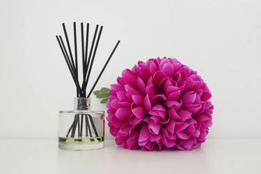 Similar image 21417033