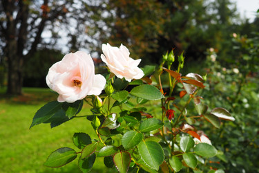 Similar image 21390271