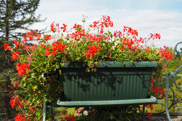 Similar image 21390277