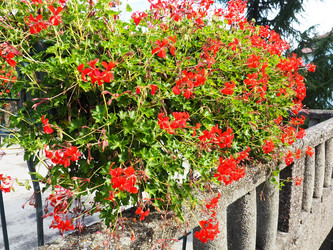 Similar image 21390282