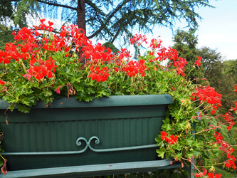 Similar image 21390286