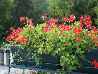 Similar image 21390289