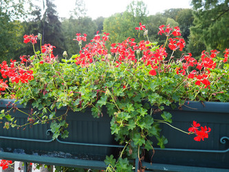 Similar image 21390290