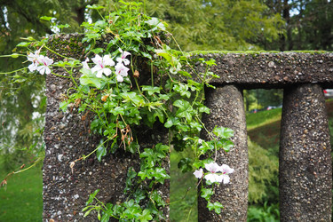 Similar image 21390291