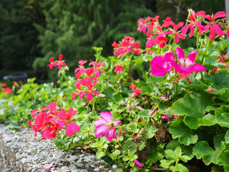 Similar image 21390293