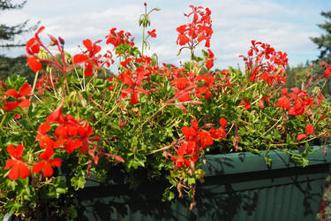 Similar image 21390295