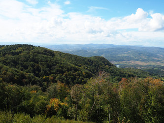 Similar image 21390296