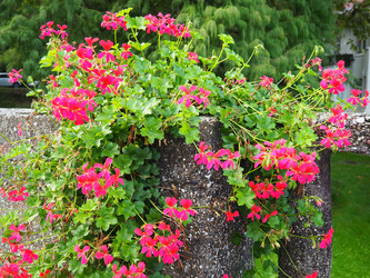 Similar image 21390297