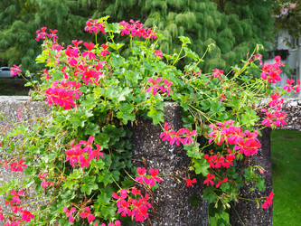 Similar image 21390298